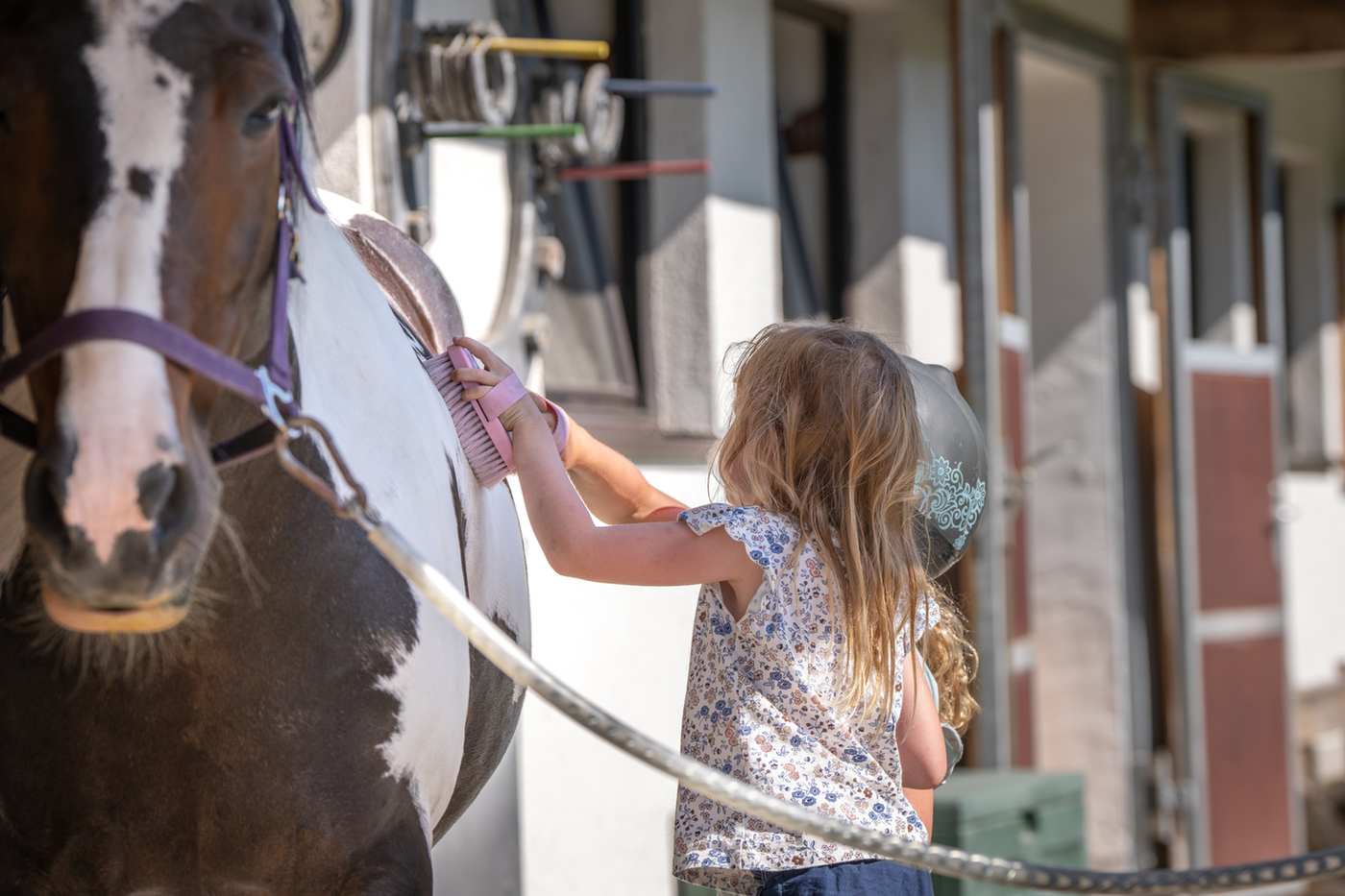 Kind striegelt ein Pferd am Tobhartbauer in Dorfgastein