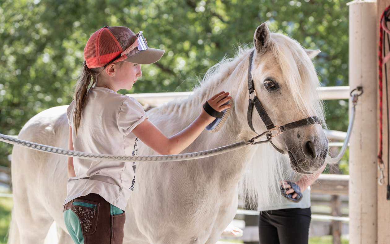Kind striegelt ein weißes Pferd am Tobhartbauer in Dorfgastein