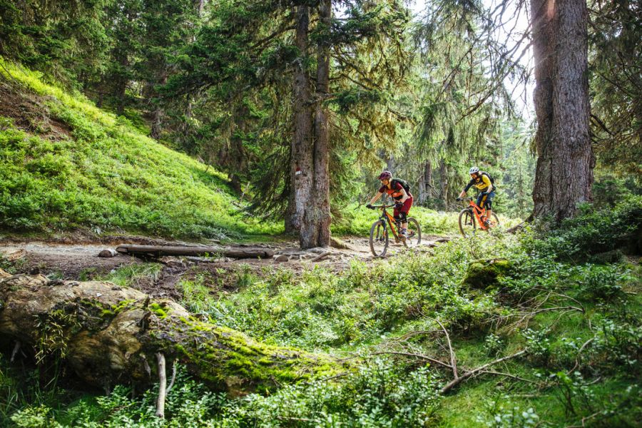 Zwei Mountainbiker auf einem Waldweg im Gasteinertal