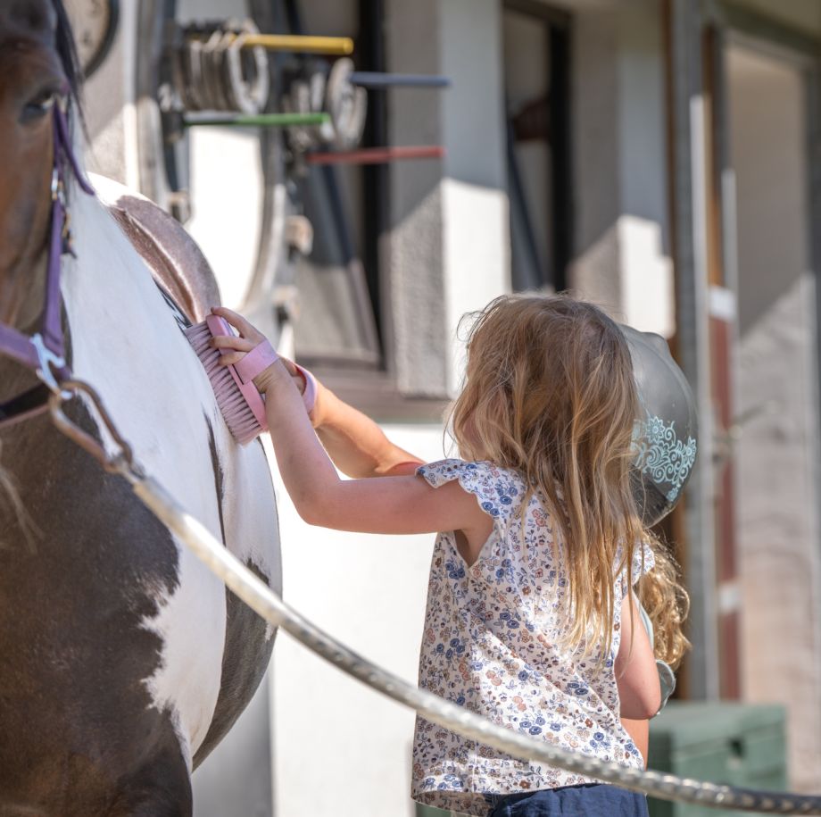 Kind striegelt ein Pferd am Tobhartbauer in Dorfgastein