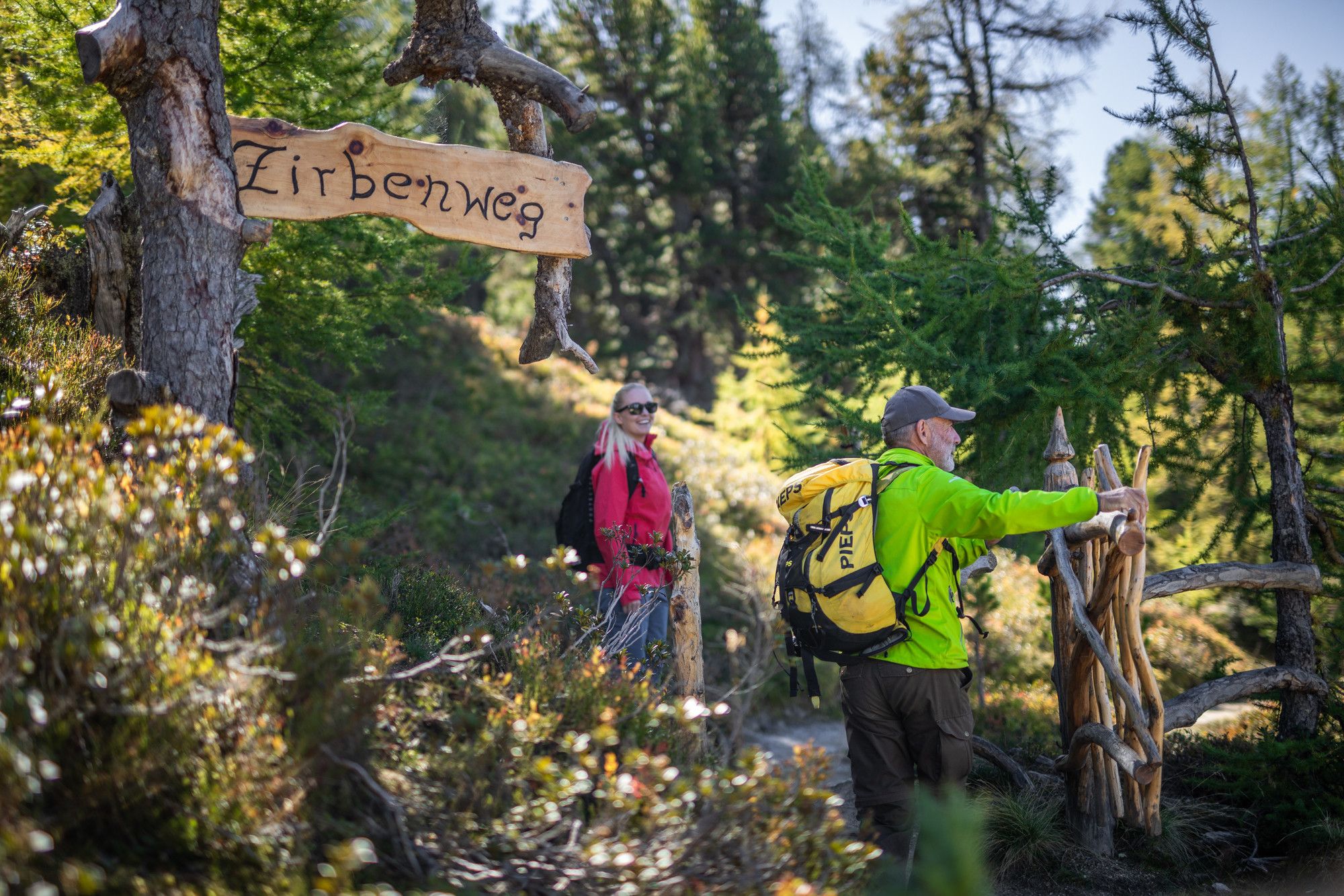 Wanderer am Zirbenweg zwischen Lärchen und Zirben in den Alpen, sonniger Naturpfad mit Holzschild und Bergpanorama
